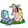 graphics-cows-170079.gif