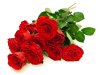 red-roses.jpg